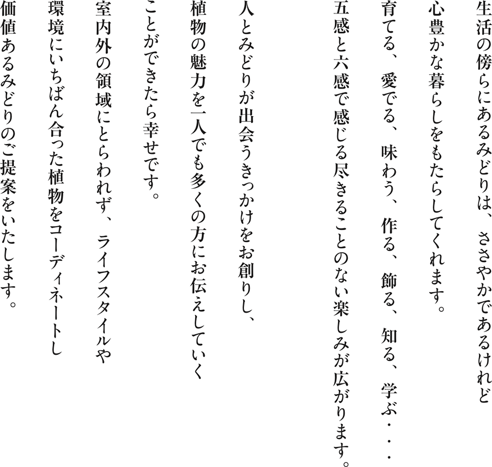 生活の傍らにあるみどりは、ささやかであるけれど 心豊かな暮らしをもたらしてくれます。 育てる、愛でる、味わう、作る、飾る、知る、学ぶ・・・ 五感と六感で感じる尽きることのない楽しみが広がります。
人とみどりが出会うきっかけをお創りし、 植物の魅力を一人でも多くの方にお伝えしていく ことができたら幸せです。 室内外の領域にとらわれず、ライフスタイルや 環 境 にい ち ば ん 合った 植 物 をコーディネートし価値あるみどりのご提案をいたします。